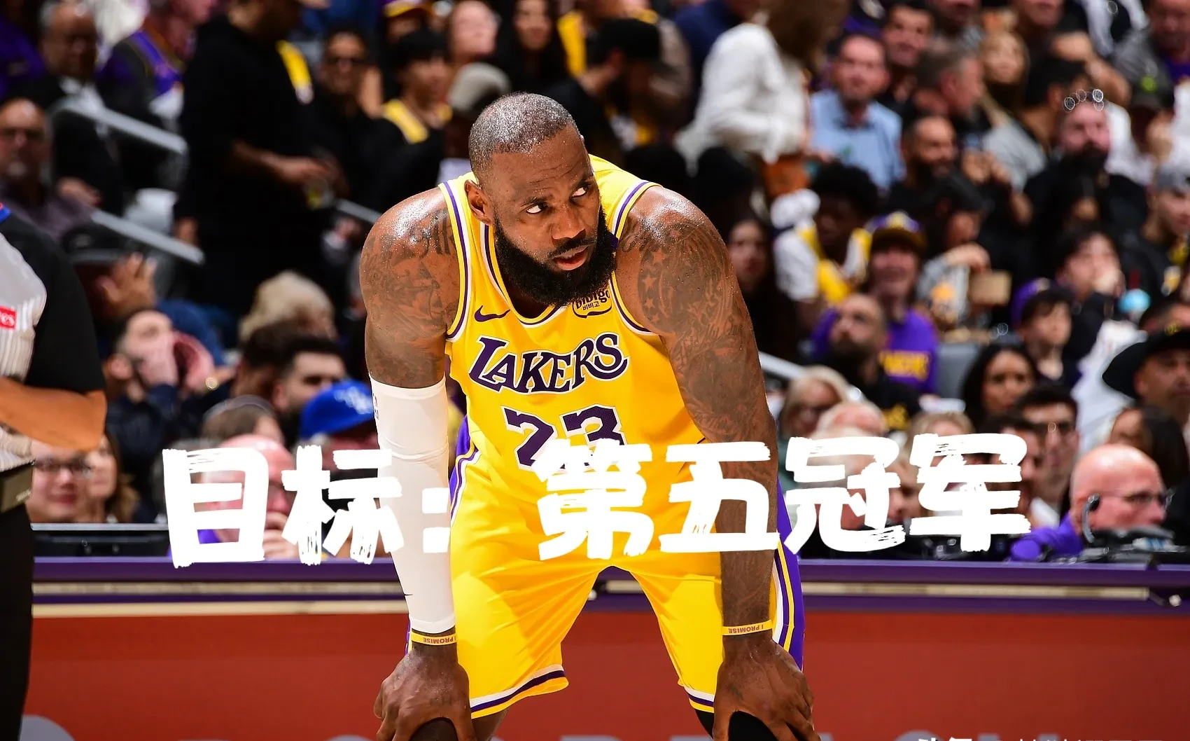 关于湖人带队取胜！，詹姆斯重要时刻重返赛场全场沸腾不已的信息-九游官网